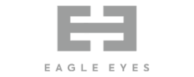 Eagle Eyes